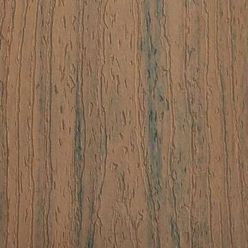 Toasted Sand color swatch