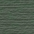 Forest color swatch