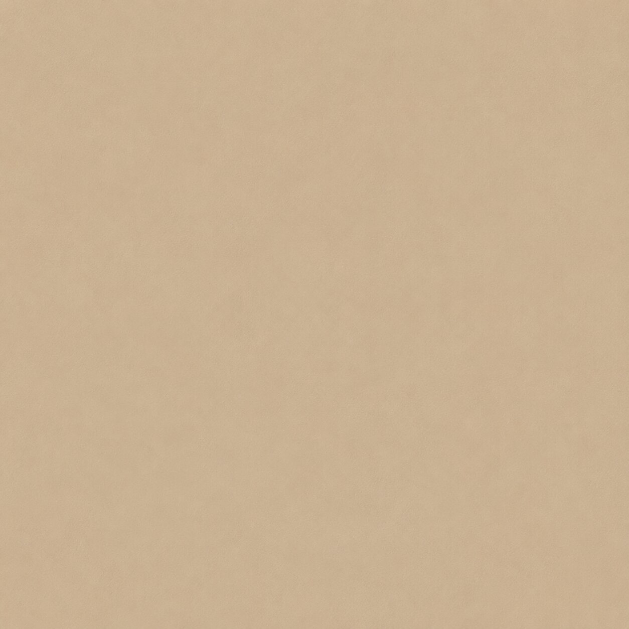 Tan color swatch
