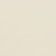 Tan color swatch