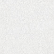 White color swatch